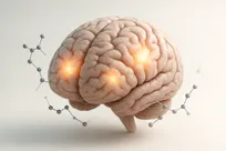 مولکولی-ساده-امیدی-بزرگ-برای-درمان-ضربه-مغزی