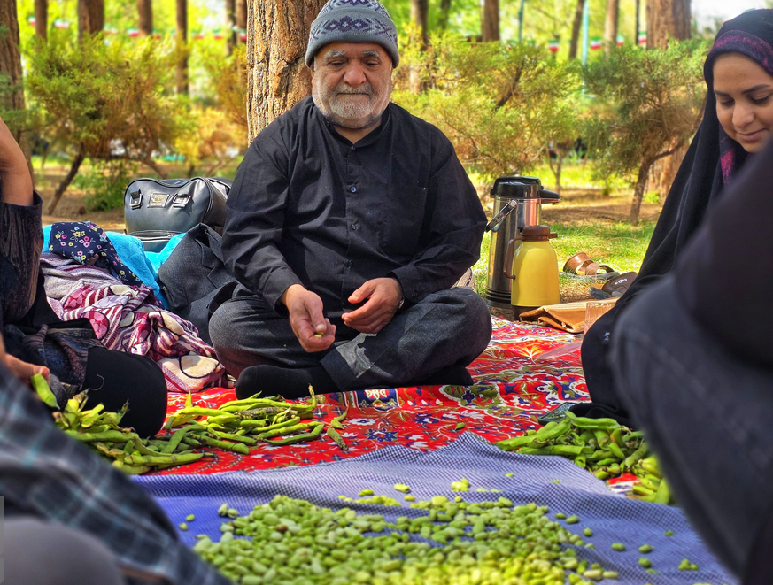 روز طبیعت در استان‌ها چگونه گذشت؟ + فیلم و عکس