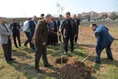 درختکاری در واحد کرمانشاه