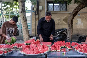 موکب های مردمی