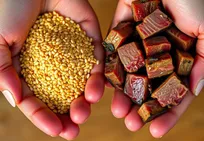 پروتئین گیاهی ایرانی، جایگزینی اقتصادی برای گوشت می‌شود