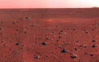 This Common Organism Could Survive on Mars