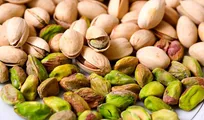 Iran Ships $730 Million in Pistachios to 67 Countries in Nine Months
