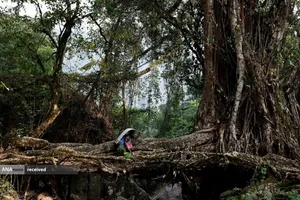انتقال صندوق رای&zwnj;گیری انتخابات به مناطق صعب العبور در هند