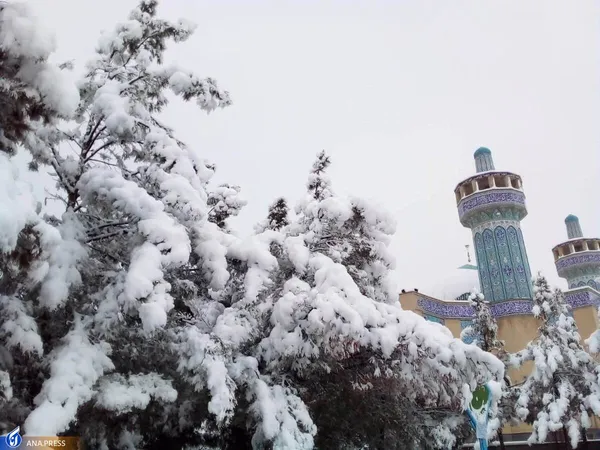 دانشگاه آزاد اسلامی واحد قم در یک روز برفی