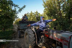 توانمندی اقتصادی برای رفع محرومیت - باغ گلابی