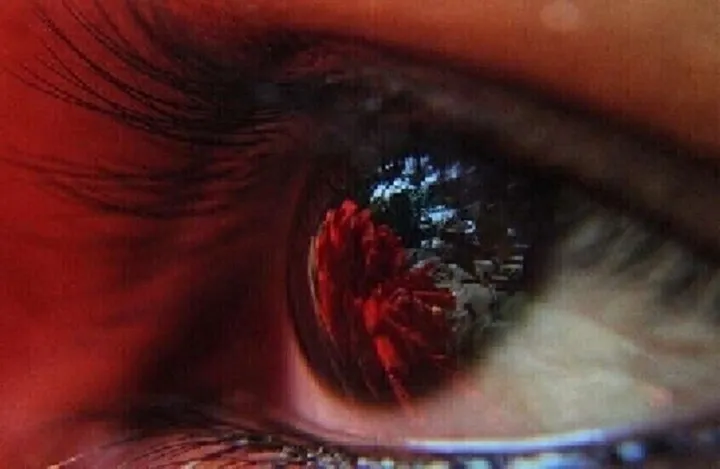 Mitochondrial transplant offers hope for vision loss