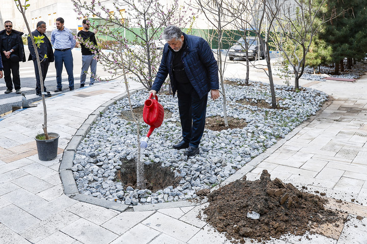 کاشت نهال امید