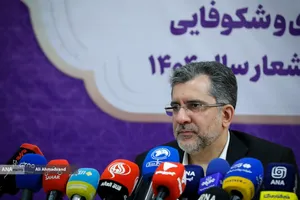 محمدصادق خیاطیان رئیس هیئت عامل صندوق نوآوری و شکوفایی