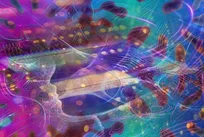 وقتی هوش مصنوعی با سرعت نور رقابت می‌کند