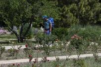 جشنواره بهاره باغ گیاه‌شناسی ملی ایران