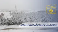 تصاویری زیبا از صبح برفی امروز در زنجان