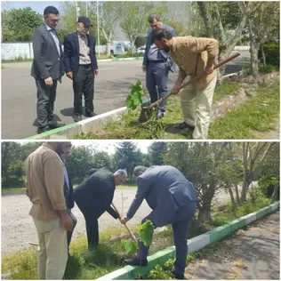 غرس نهال به یاد شهدای جنگ رمضان در دانشگاه آزاد اسلامی واحد رامسر
