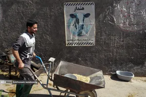 رفع محرومیت با تولید ملی - گاوداری