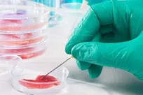 ارسال مقاله به همایش ملی «چالش‌های زیست‌پزشکی» تا ۳۰ مهر ۱۴۰۱