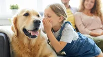 Could AI enable humans to talk to animals by 2030?