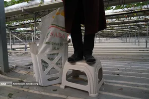 تولید ملی برای آبادانی مناطق محروم