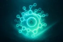 چگونه جلبک‌ها نور را به بازی می‌گیرند