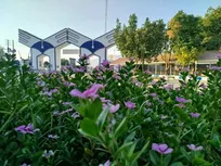 رشد چشمگیر تولیدات علمی در دانشگاه آزاد کازرون