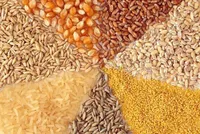 ارزش تحقیقات جهانی ریزمغذی‌های علوم دامی بررسی شد/ ایجاد زمینه تحقیق برای نسل آینده