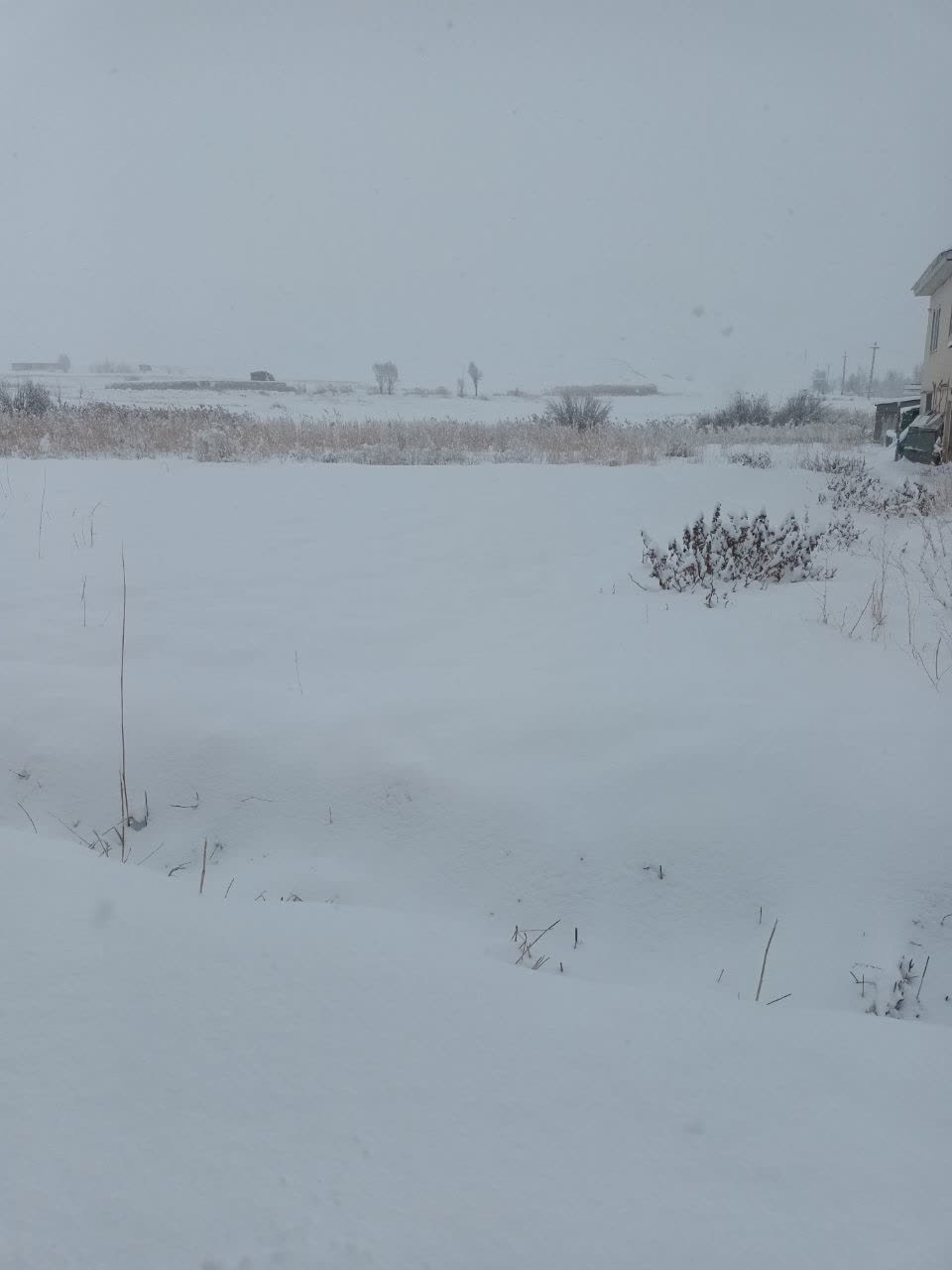 جدیدترین اخبار از وضعیت راه‌های کشور/ رخت سپید بر تن ۱۶ استان/ ترافیک سنگین در آزادراه کرج ـ قزوین