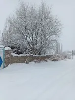 پایتخت از فردا به استقبال بارش برف می‌رود