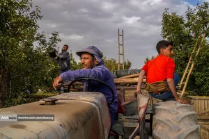 توانمندی اقتصادی برای رفع محرومیت - باغ گلابی