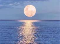 دانش بشر حکایت از وضعیت نگران‌کننده اقیانوس‌ها و دریا‌ها دارد