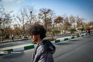 حاشیه دربی ۱۰۶