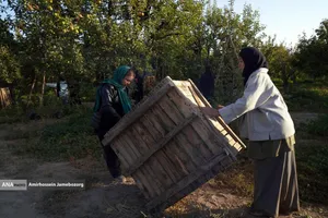 توانمندی اقتصادی برای رفع محرومیت - باغ گلابی