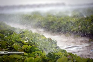 تولید ملی برای آبادانی مناطق محروم