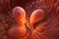 تکامل هرگز به خط پایان نمی‌رسد