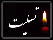 پیام تسلیت رئیس فرهنگستان علوم به کمال خرازی بابت شهادت همسر ایشان