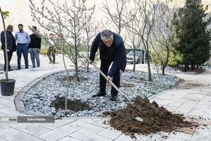 کاشت نهال امید