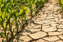 بحران آب در آسیای مرکزی تشدید می شود/ کاهش سطح خزر تا نوسازی کانال‌های آبیاری