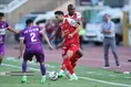 پرسپولیس و هوادار