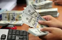 میزان تامین ارز واردات امسال از ۱۵.۳ میلیارد دلار عبور کرد