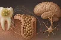 رد پای عامل پارکینسون در دهان انسان