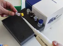 طراحی و ساخت کیت تشخیص مقاومت چنددارویی باکتری