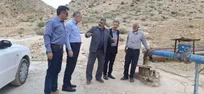 نوسازی باغ دانشگاه آزاد جهرم؛ کاشت درخت برای تضمین سوددهی پایدار