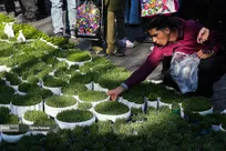 بازار تجریش در آستانه نوروز