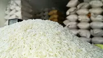 لغو ممنوعیت واردات برنج در فصل برداشت