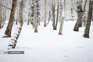 بارش برف زمستانی در تهران 