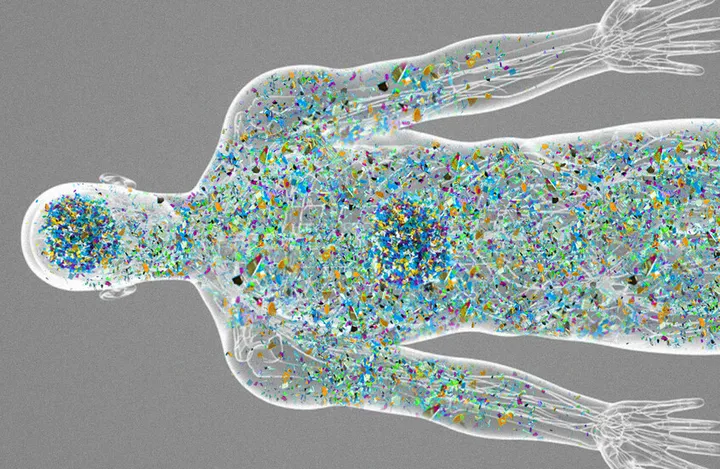 Genes may shape how microplastics affect the brain