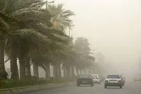 پیش بینی طوفان در شرق کشور؛ گلخانه&zwnj;داران آمادگی برای حفاظت از گلخانه&zwnj;ها داشته باشند
