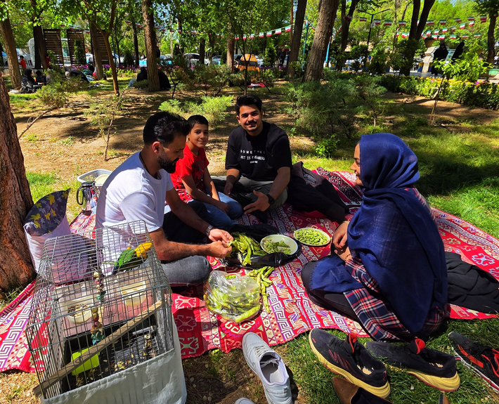 روز طبیعت در استان‌ها چگونه گذشت؟ + فیلم و عکس