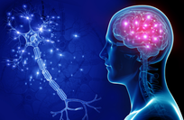 Study: Poor metabolic health may accelerate brain aging in young adults