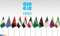 کاهش ۳ دلاری قیمت سبد نفتی اوپک/هر بشکه نفت، ۹۱ دلار