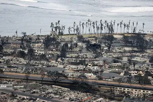 آتش&zwnj;سوزی&zwnj;های جنگلی ناشی از بادهای شدید در لاهاینا، هاوایی