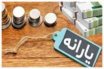 توضیح وزارت رفاه درباره شاخص‌های حذف یارانه؛ این معیارها مربوط به دهک‌بندی جدید نیست